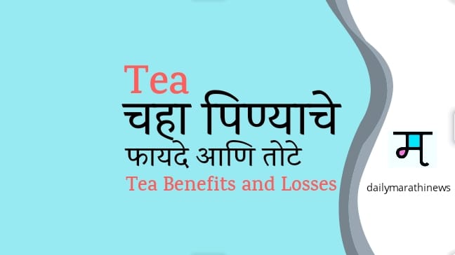 Tea Information in marathi